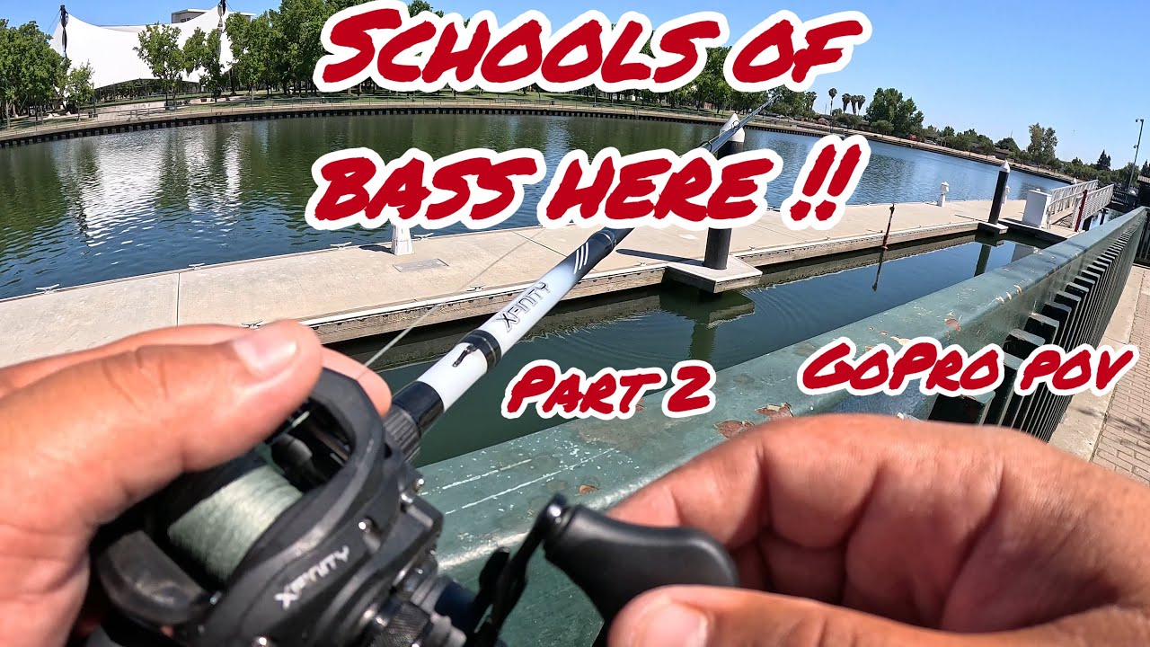 ( Part 2 ) Fishing Downtown Stockton Looking For BIG BASS !!