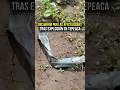 Así luce la zona de la explosión en Tepeaca ⚠️