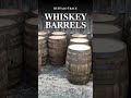 Buffalo Trace Whiskey Barrels Available!