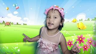 DONGENG ANAK - KELINCI DAN KURA KURA (CERITA ANAK BY AYA DHIFA)