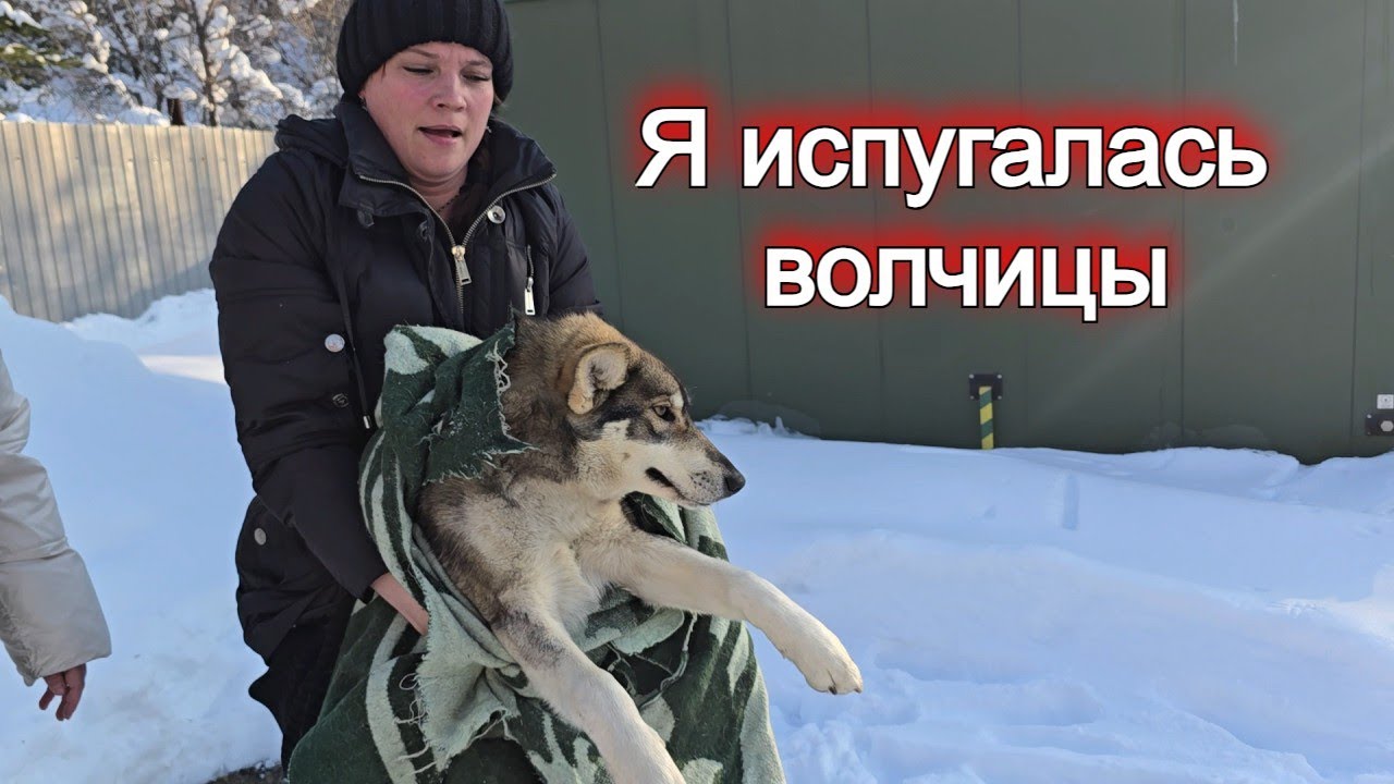 Два дня гнила изнутри и примерзала к земле снаружи