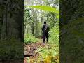 santai sejenak dihutan #hutan #sumowono #shorts #shortsviral #fypage #semarang #foryoupage #hiking