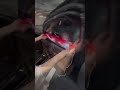 Transform Your Ride with the Miootly Flexible Car Eye Animated Display! 👀✨