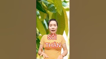 Công dụng của lá xoài non #shorts #thanhdongvlog