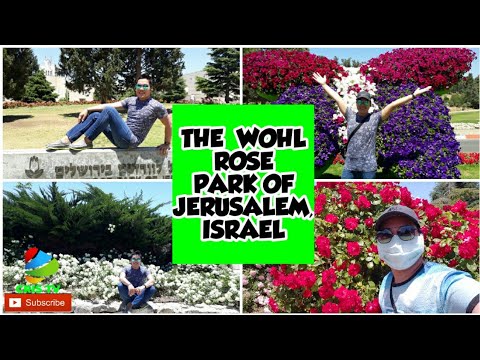 The Wohl Rose Park Of Jerusalem Israel The Best Of Rose Garden In Holy Land Cris Tv Youtube