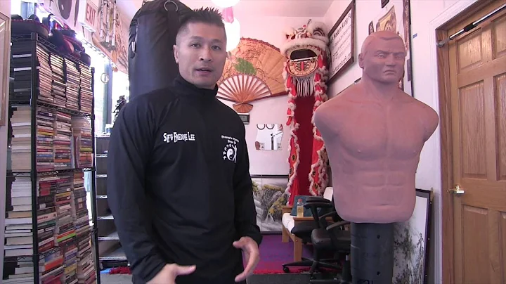 Bob Dummy vs. Heavy Bag - Product Review