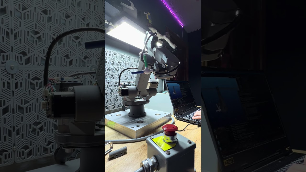 Glavenus custom 6 axis arm.  Custom firmware/software. 