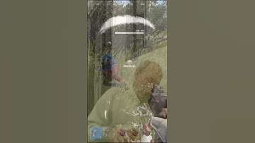 КРЫСА В КУСТАХ #rustgame #rust #facepunch #shorts #rustmemes #meme #youtube #foryou #gaming #gamer