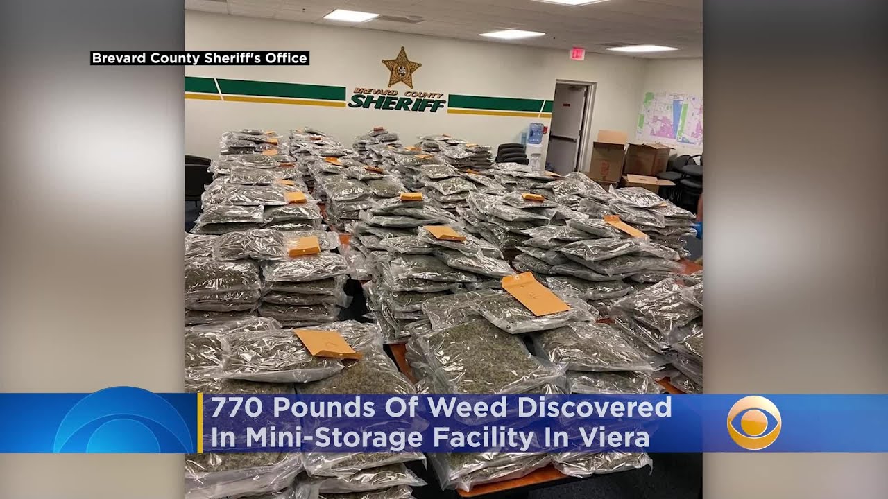 Owner Who 'Lost' 770 Pounds Of Weed To Receive 'All-Expenses-Paid Staycation' Courtesy Brevard Count