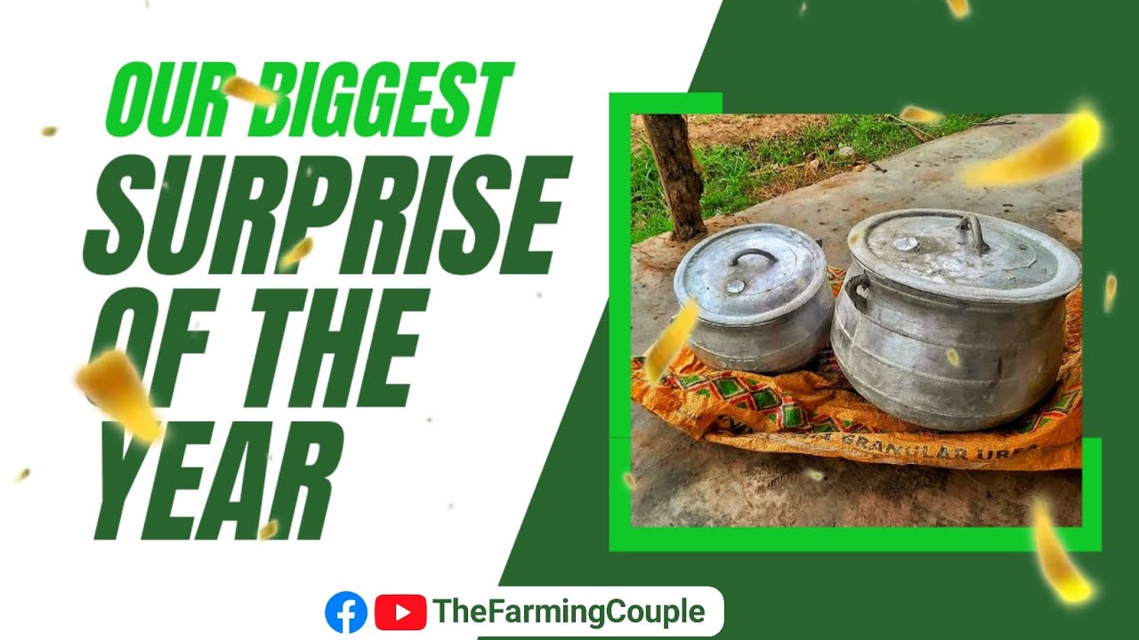 We Got Our Biggest Surprise Of The Year YouTube