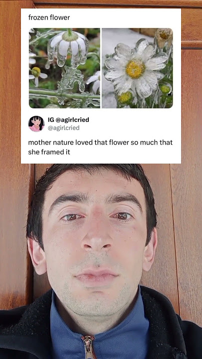 Frozen flower