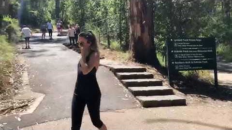 Stabilizer test - Zhiyun Smooth Q