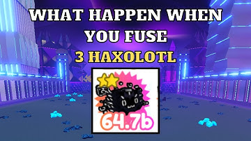What Happens When You Fuse 3 Haxolotl | Pet Simulator X | Roblox