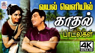 Download Lagu காதலர்கள் வயல்வெளியில் மகிழ்ச்சியாக பாடிய காதல் பாடல்கள் Tamil old songs | Village love songs MP3 Download Lagu காதலர்கள் வயல்வெளியில் மகிழ்ச்சியாக பாடிய காதல் பாடல்கள் Tamil old songs | Village love songs MP3
