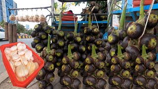 Skillful Palm Fruit Cutting-Cambodia Street Food