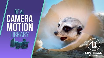 Use Real Camera Motion Library in Unreal Engine