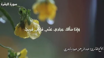 (فانّي قريب) تلاوة بصوت الأخ القارئ عبدالرحمن باجري