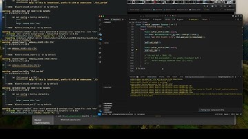 Part 1: RAK3372 STM32WLE5 Blinky with Rust Embassy