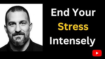 The Fastest Way to Reduce Stress In Real Time | Andrew Huberman