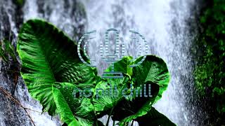Autoregulation Mood Music - Autogenic Training Specialists