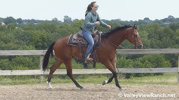 HA Chics Whiz - lope-offs, lead changes, spins! - ValleyViewRanch.net