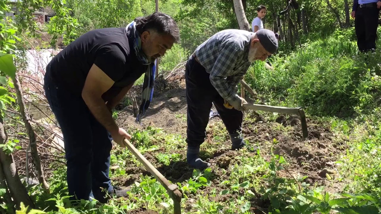 Çamlıyayla Köyü (Meeri) Alucra