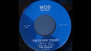 Video thumbnail of "The Drones- I'm Down Today(1966)."