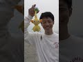 【ピクミン】これがほんとのピクミン(?)だねwww#shorts #nintendo#ピクミン4 #ピクミン #コント #検証