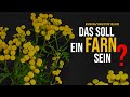 Warum der Rainfarn kein echter Farn ist!