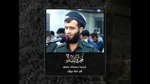 سورة الذاريات رزكار محمد الكردي