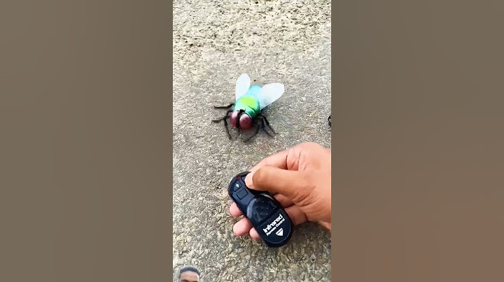 BRAWL ATHLETIX Infrared Remote Control Simulation Housefly RC Animal