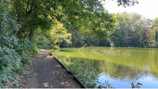 Belçika’da yapay göl ve park. Bence çok güzel doğal gibi.. #belçika #belgium #nature