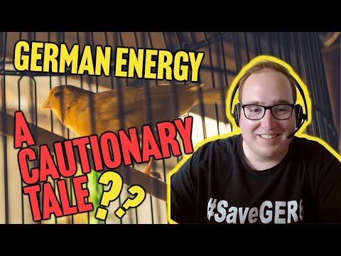 Germany: The Canary in the Coal Mine