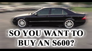 So You Want to Buy a #S600 #W220 V12? Here Are Some Advice.