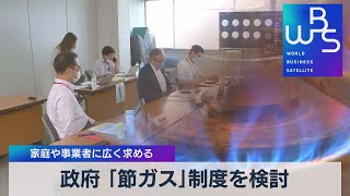 政府 「節ガス」制度を検討 家庭や事業者に広く求める【WBS】（2022年7月11日）