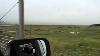 Iceland Day 2: Ringroad