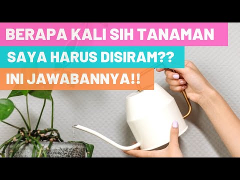 Video: Adakah saya perlu menggunakan nutrien setiap kali saya menyiram?