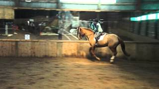 DSCF0206