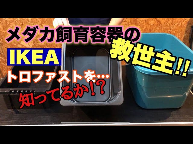 メダカ飼育ラック　NV BOX/トロファスト対応　メダケース