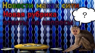 Новости макак сити: новая рубрика ответы на вопросы!🔥💥🤩