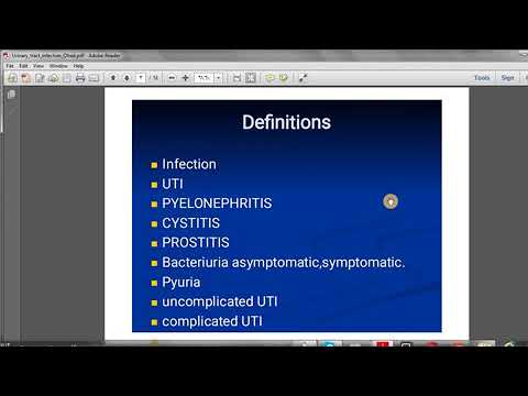     من كتاب القصر العيني