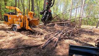 Chipping up brush piles by cotontop3 6,587 views 1 month ago 11 minutes, 47 seconds