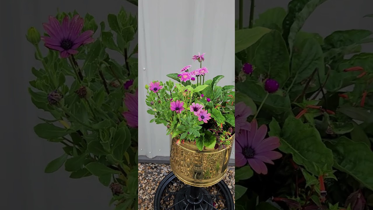 Upcycled Repurposed Planter Update 