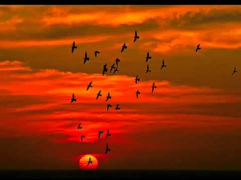 Aamay Dekona Ferano Jabena -Lucky Akhand