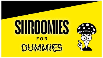 Shroomies for Dummies: Liquidity Edition 