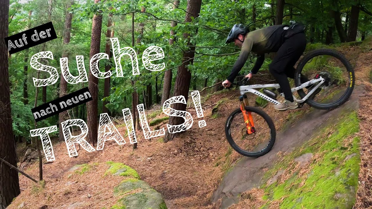 Trailscouting in der Pfalz | MTB Enduro | Propain Tyee | 2025