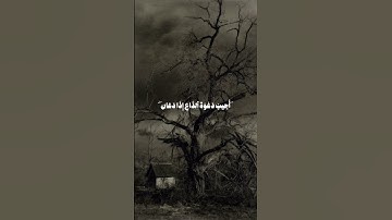 اللهم استجب لدعواتنا ⭐🤲🏻 | تلاوة عطرة #القرآن_الكريم