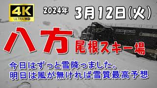 2024年3月12日　一日中雪降ってました。