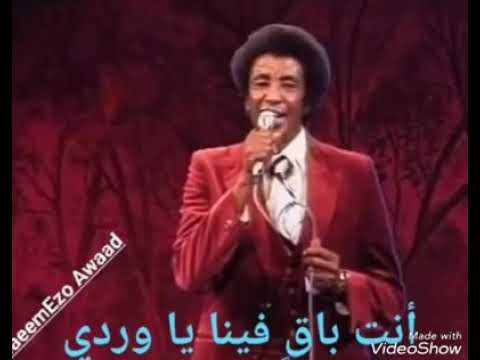 الأستاذ محمد وردي وتر مشدود وردة صبية تسجيل جميل بالعود