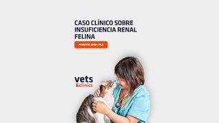 16. #Clips4Vets: Insuficiencia renal felina